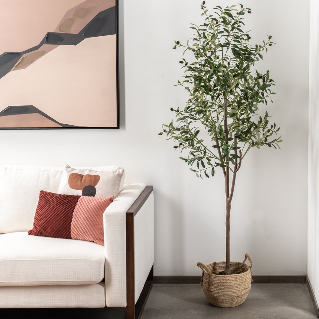 Olive Tree With Pot 240cm