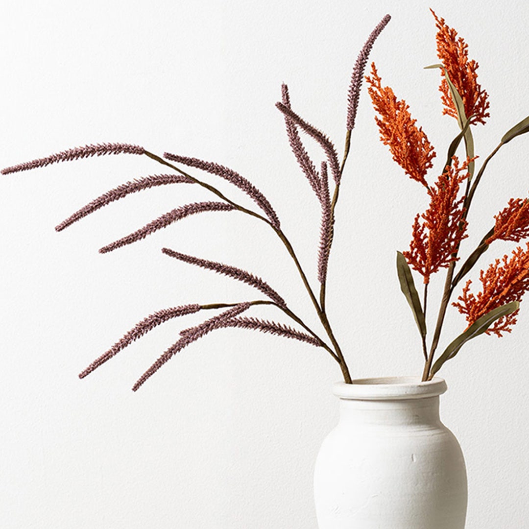 Pampas Grass -Blush