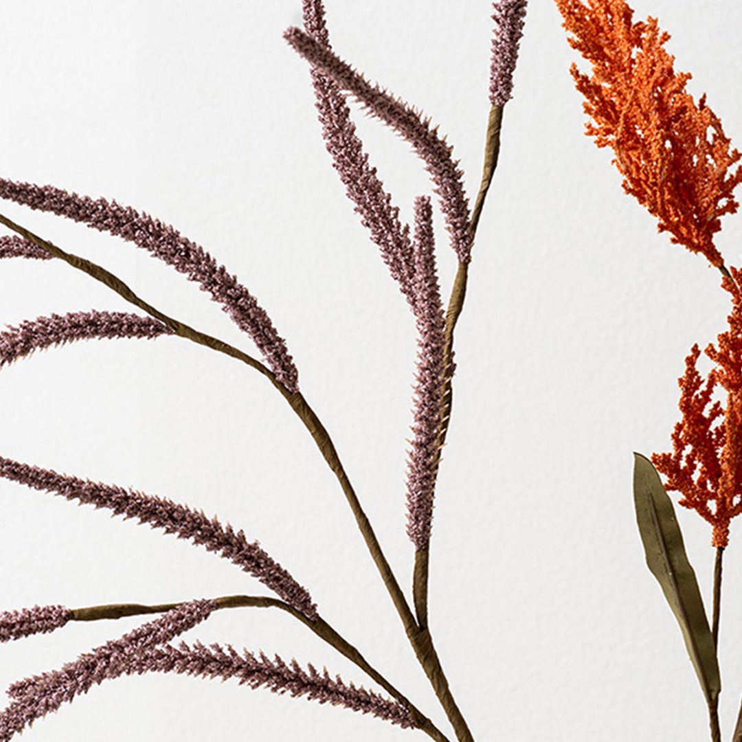 Pampas Grass -Blush