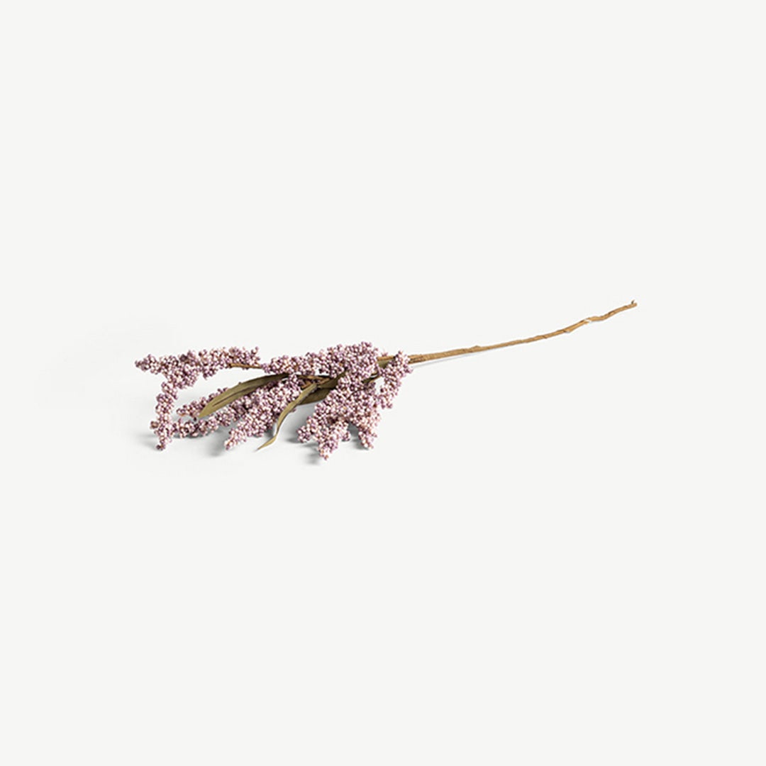 Lavender -Mauve
