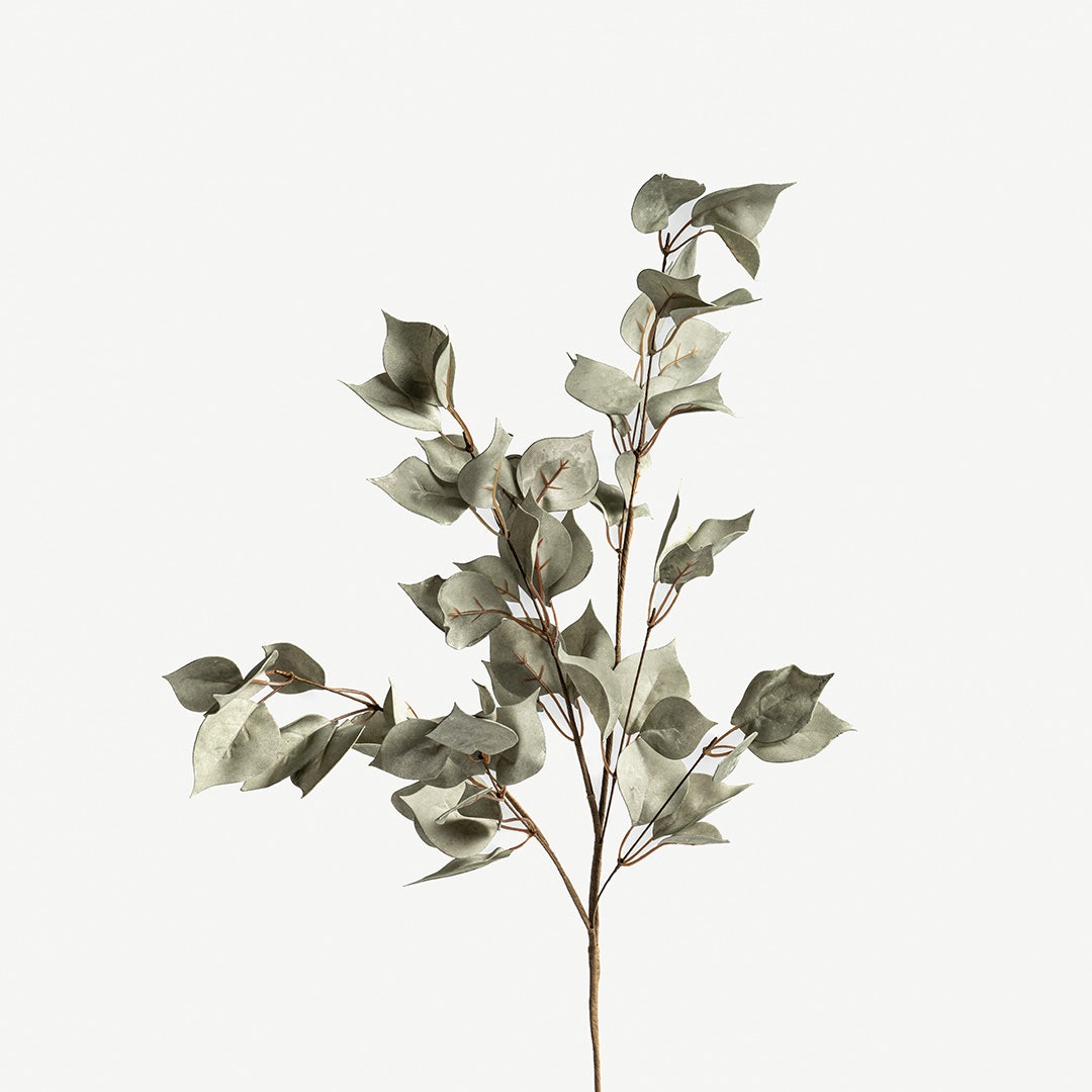 Euphorbia Leaves -Pastel Green