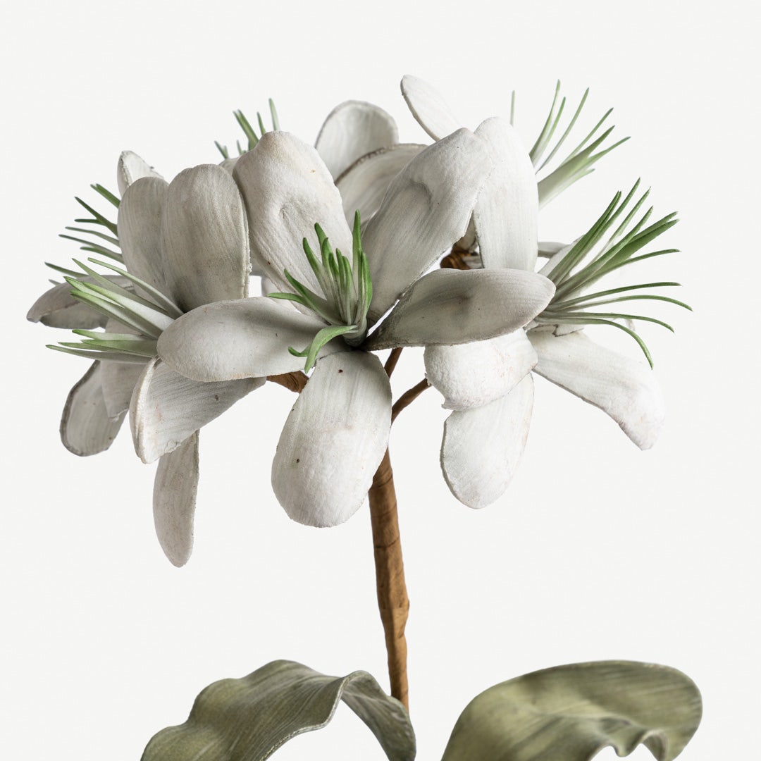 Geranium Flower Stem -Pastel Green