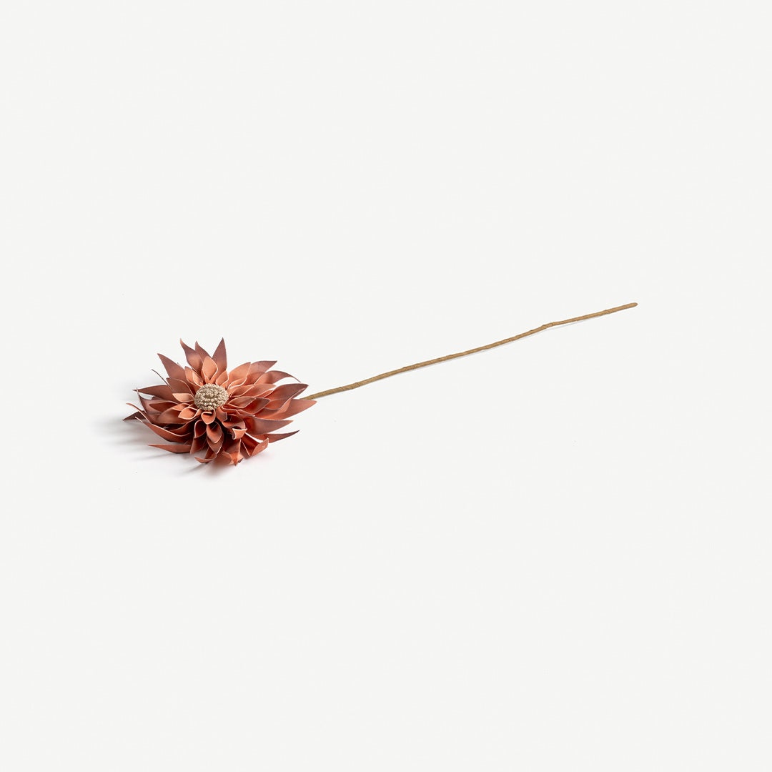 Sunflower Stem -Coral
