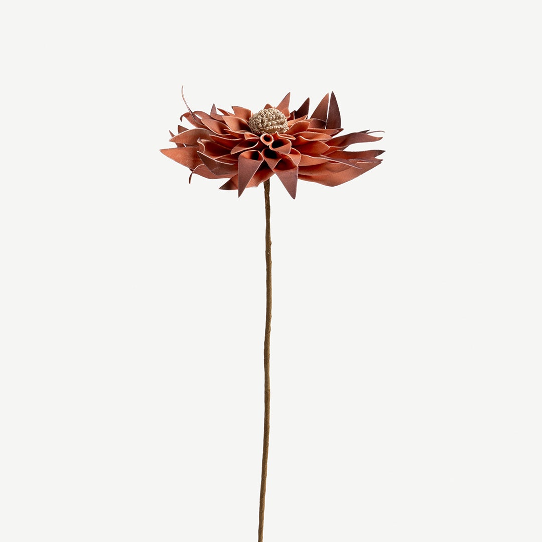 Sunflower Stem -Coral
