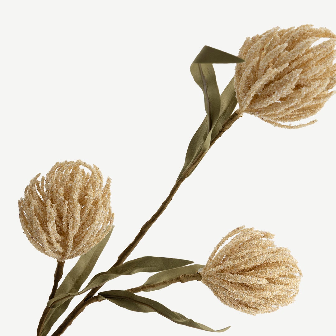 Protea Stem - Beige