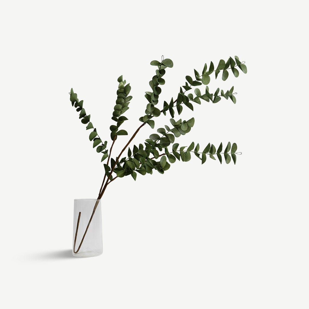 Eucalyptus Leaves - Green