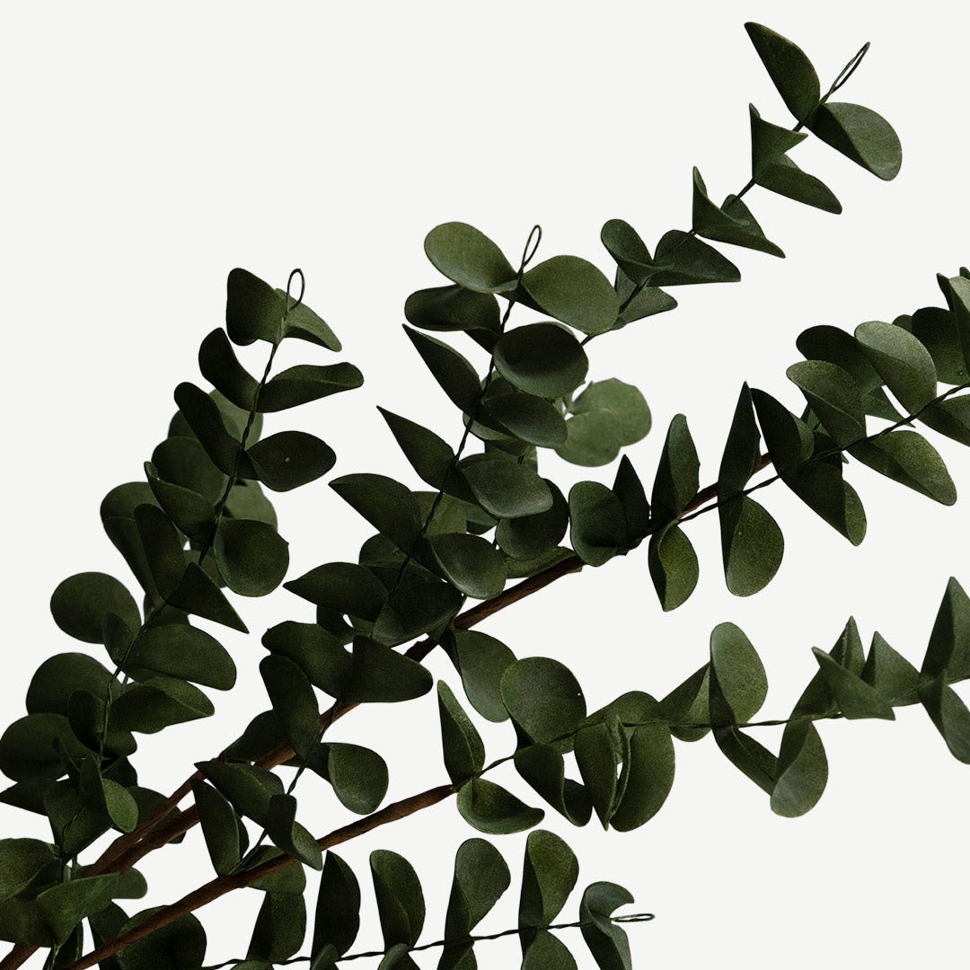 Eucalyptus Leaves - Green
