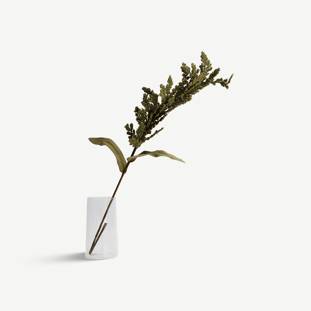 Pampas Grass - Olive Green