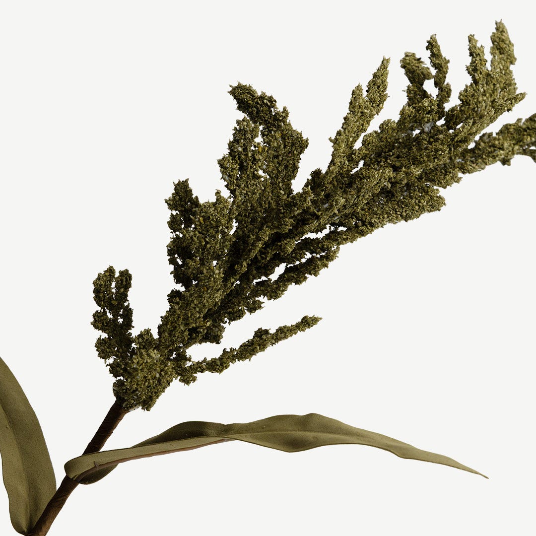 Pampas Grass - Olive Green