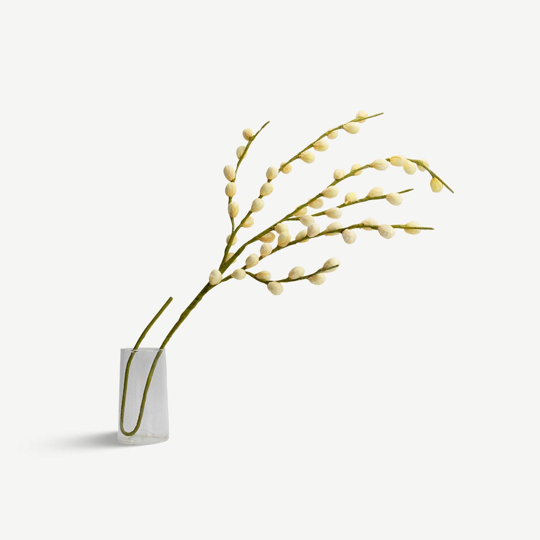 زهرة البرقوق - كريم