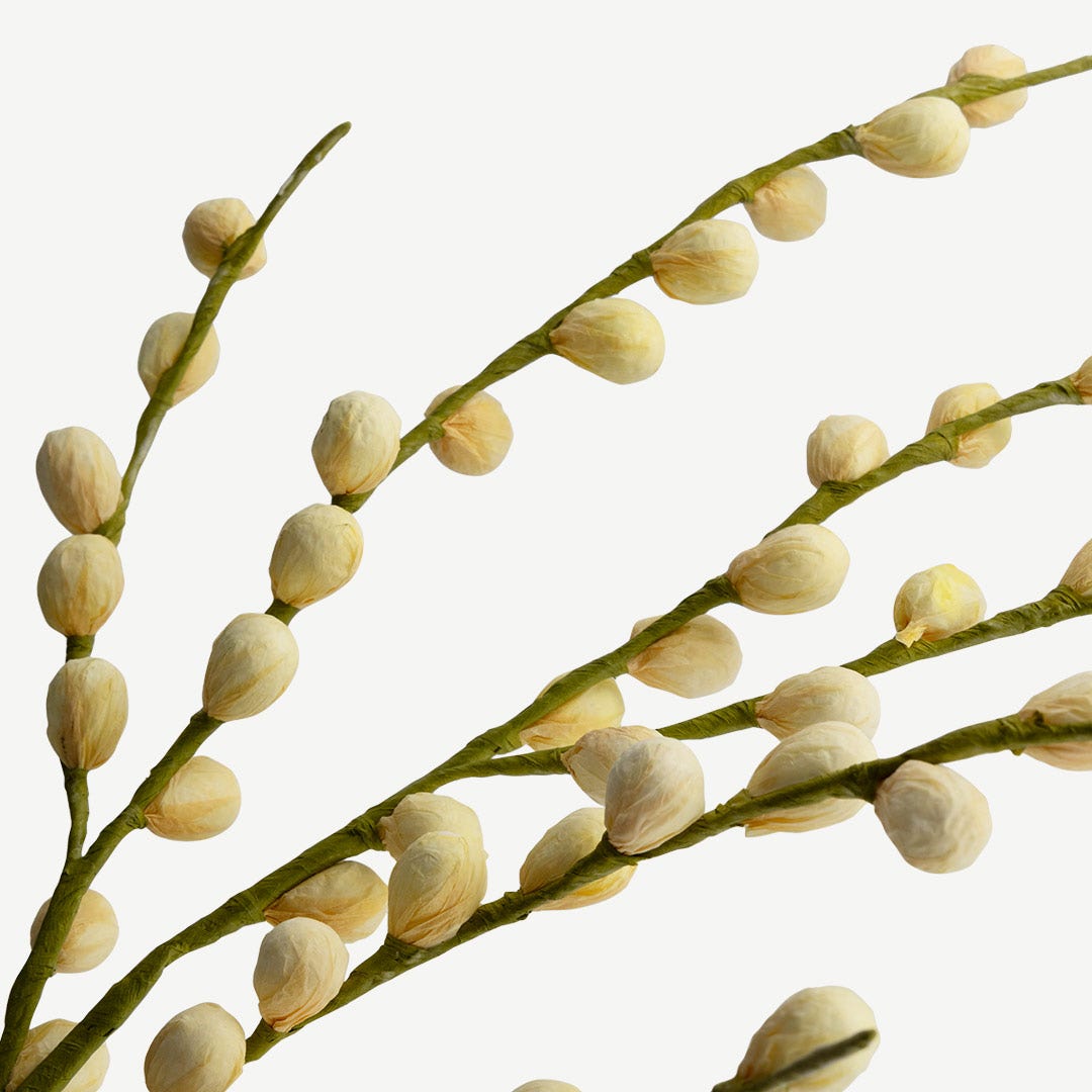 زهرة البرقوق - كريم