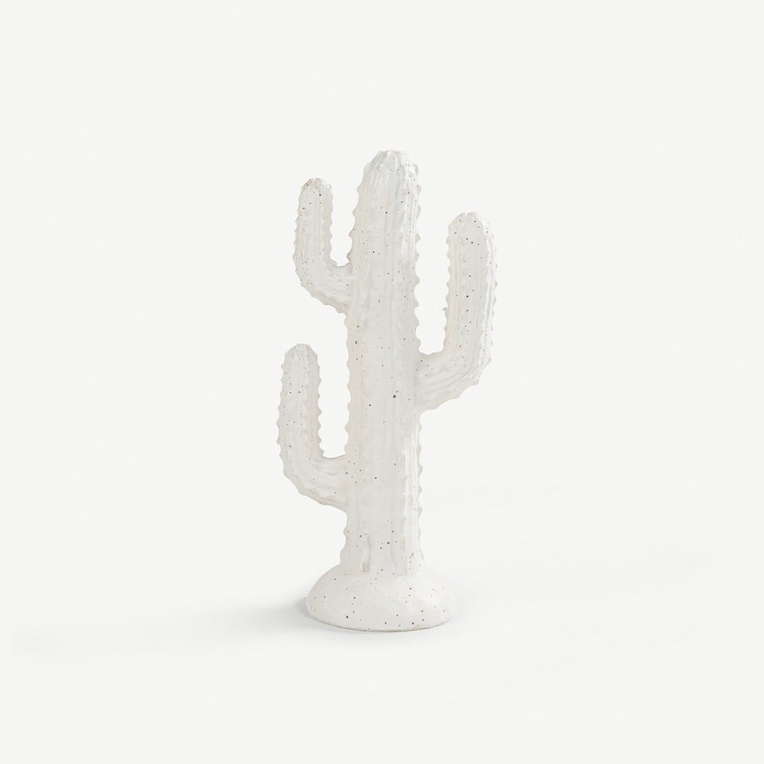 مارفيان ديكور صبار