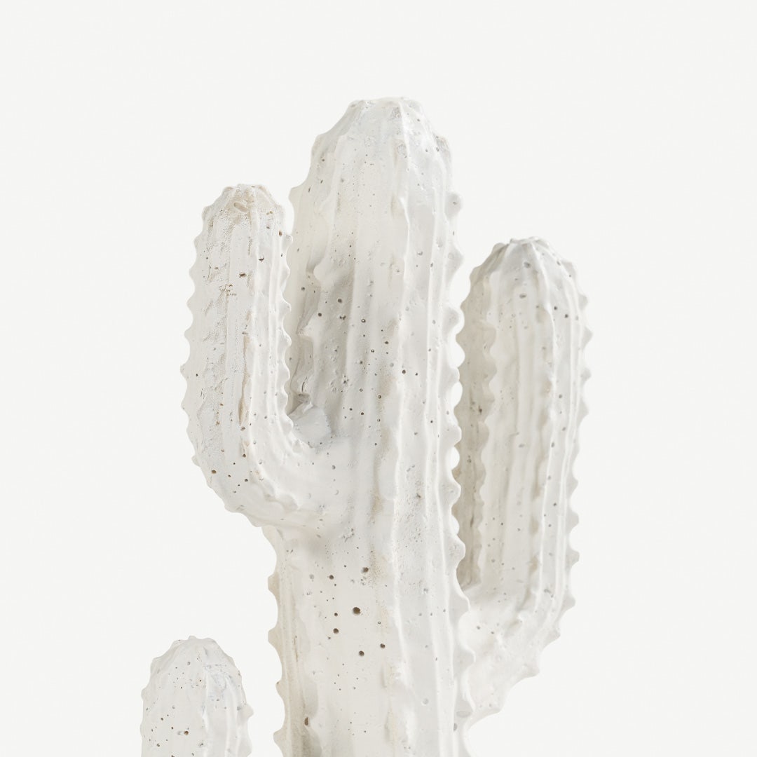 مارفيان ديكور صبار