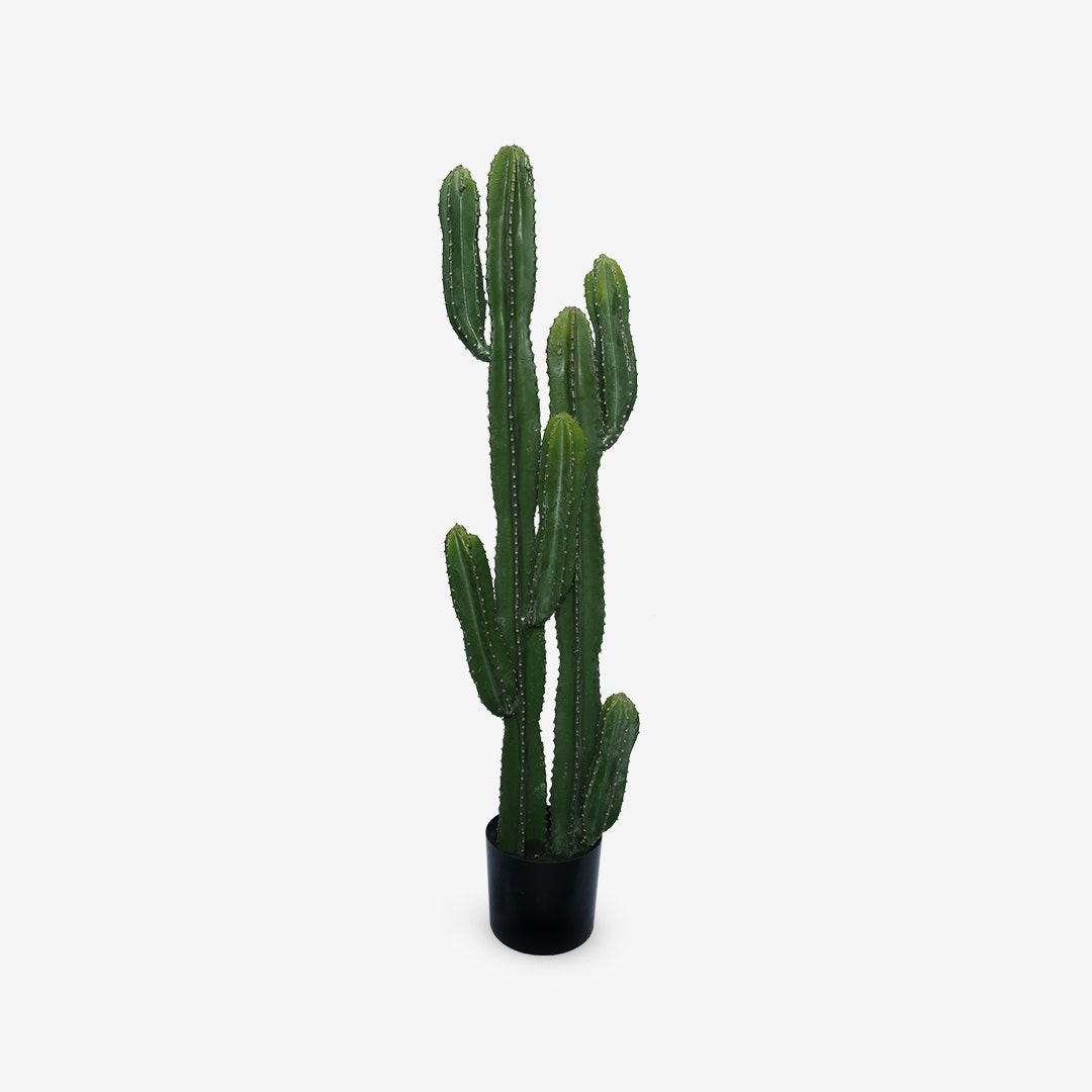 Cactus With Pot - 131cm