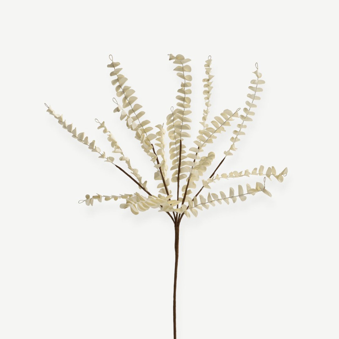 Eucalyptus Leaves - Cream