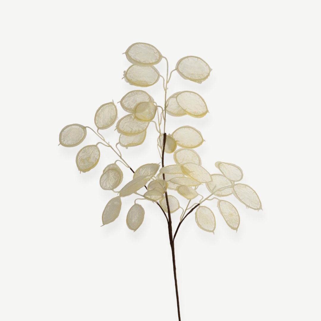 Eucalyptus Leaves - Cream