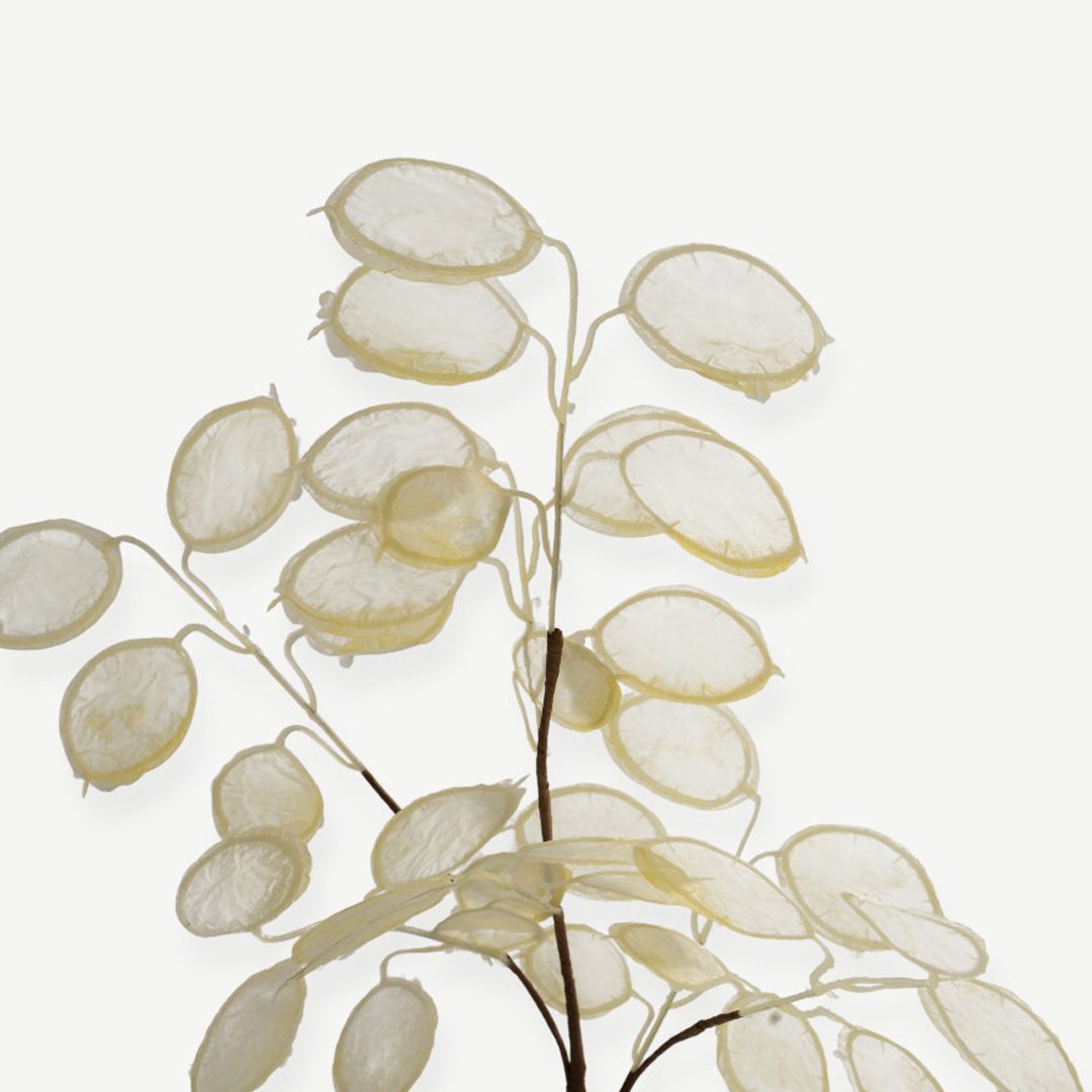 Eucalyptus Leaves - Cream