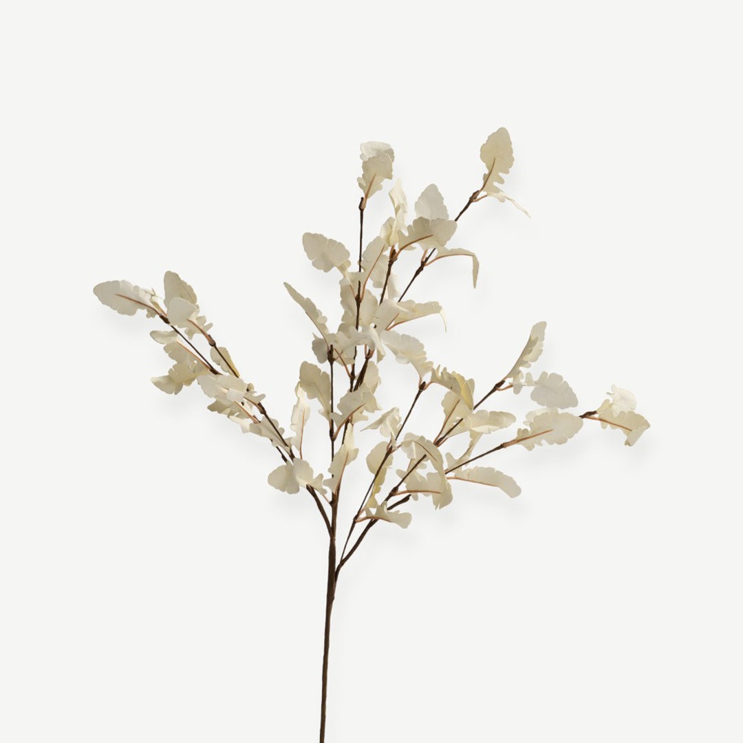 Eucalyptus Leaves - Cream