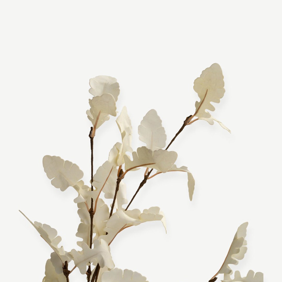 Eucalyptus Leaves - Cream