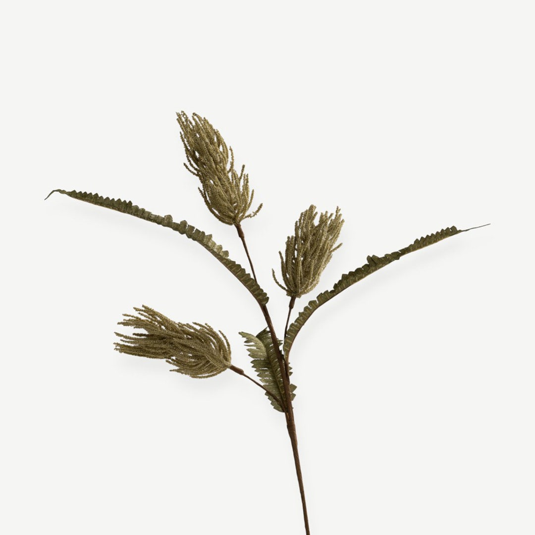 Calliandra Flower - Green