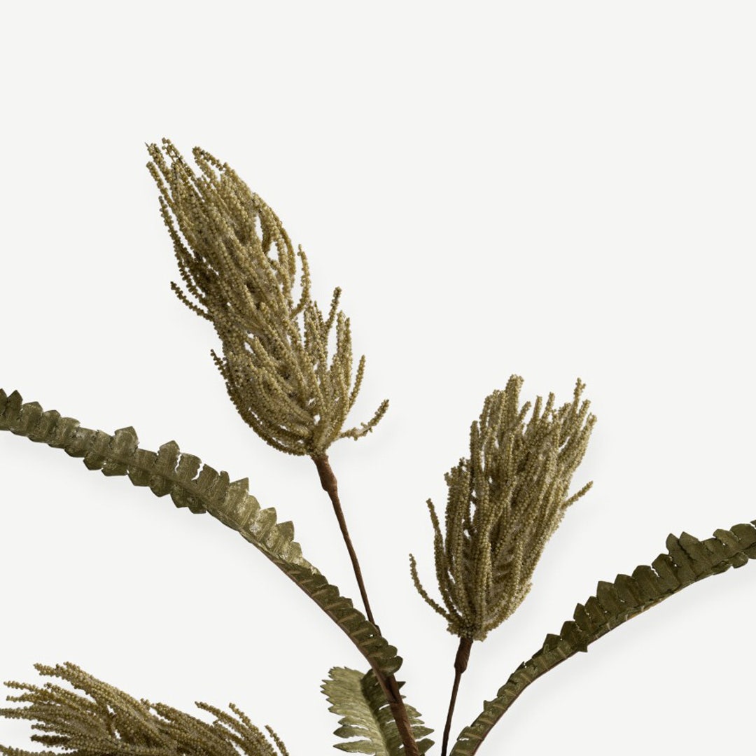 Calliandra Flower - Green