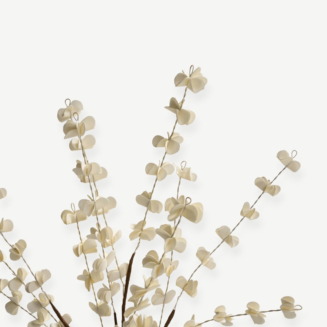 Eucalyptus Leaves - Cream