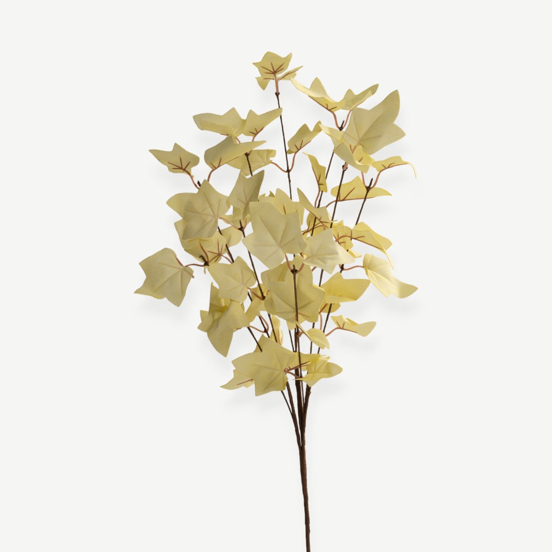 Maple Leaves - Cream