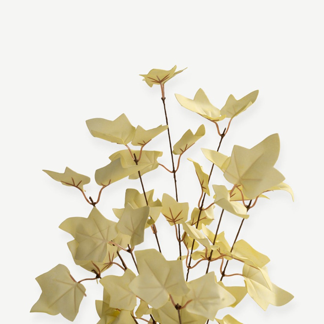 Maple Leaves - Cream