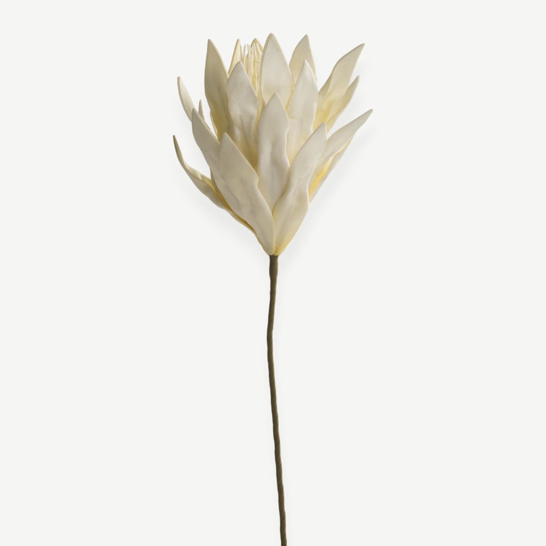 Artichoke Flower- Cream