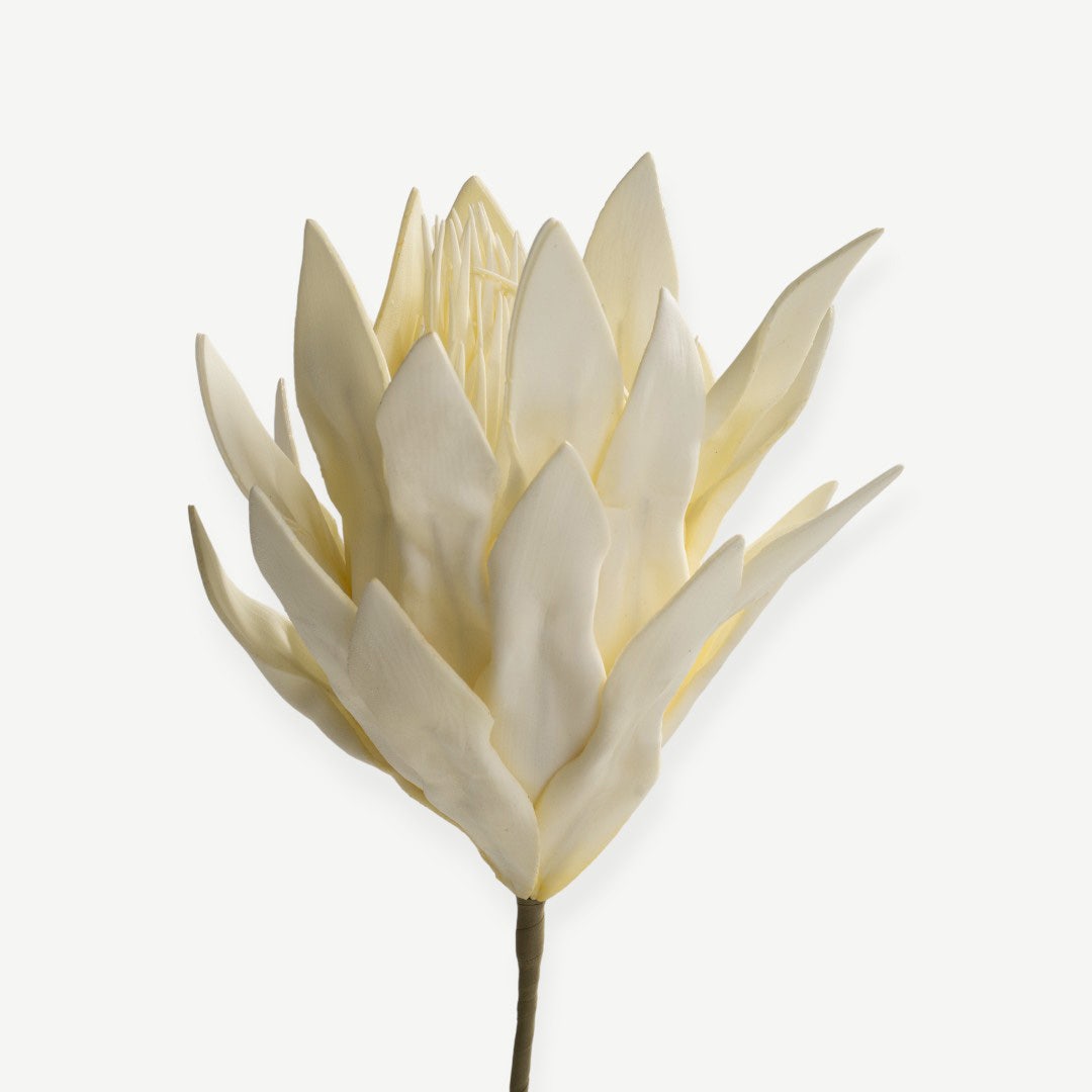 Artichoke Flower- Cream