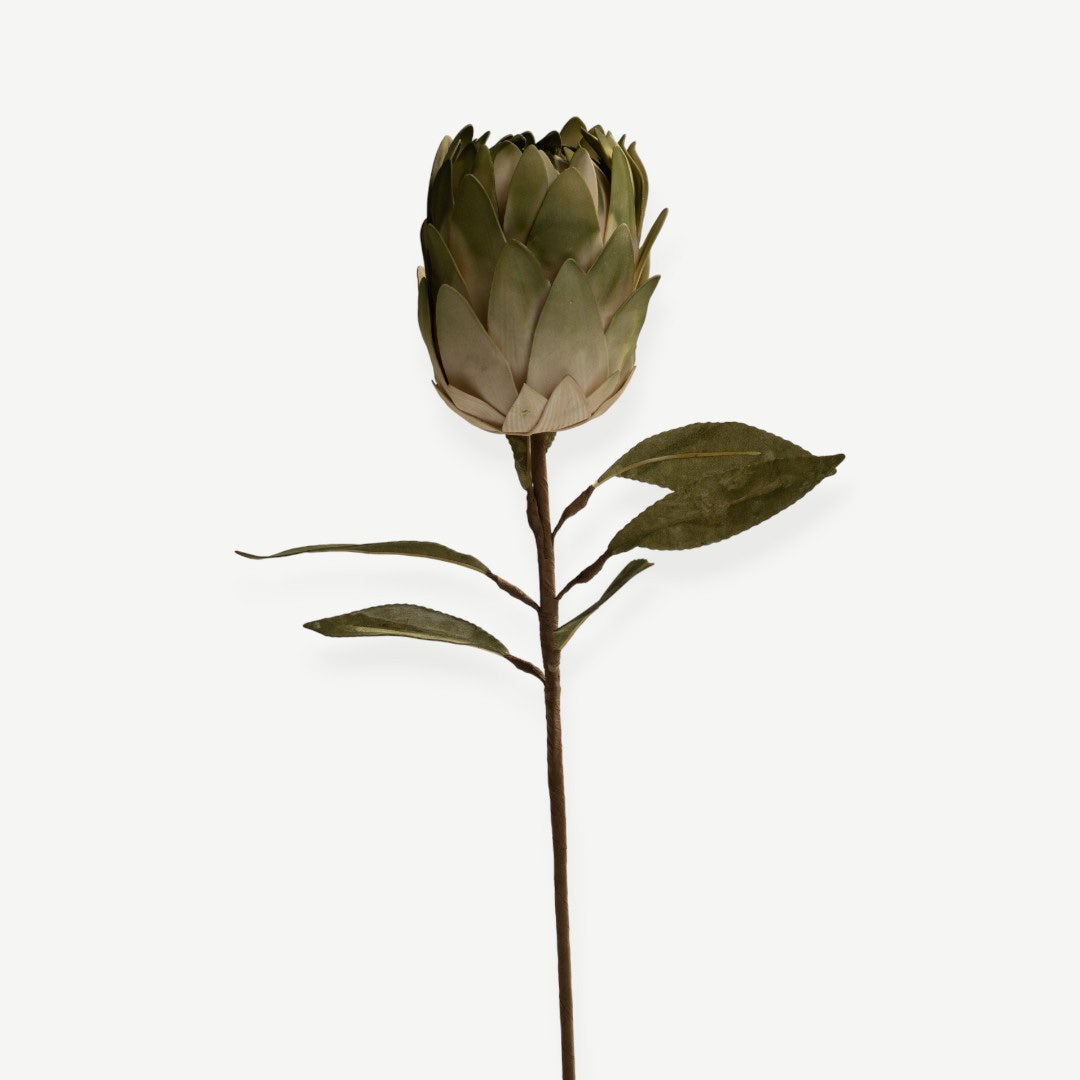 Protea Stem - Green