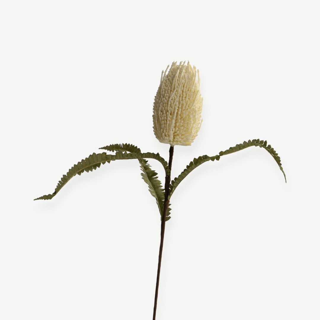 Bankia Flower Stem - Cream