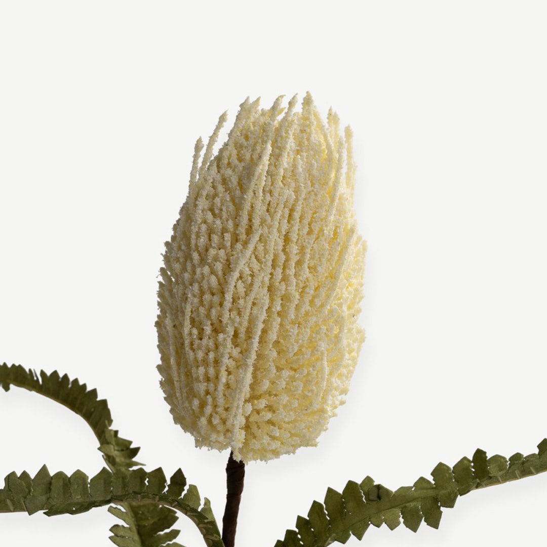 Bankia Flower Stem - Cream