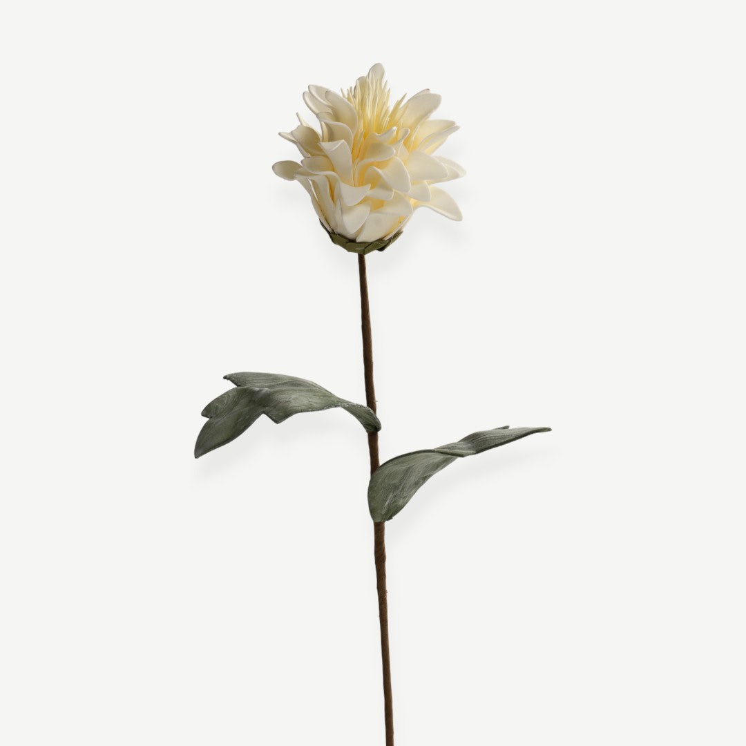 Dahlia Flower Stem - Cream