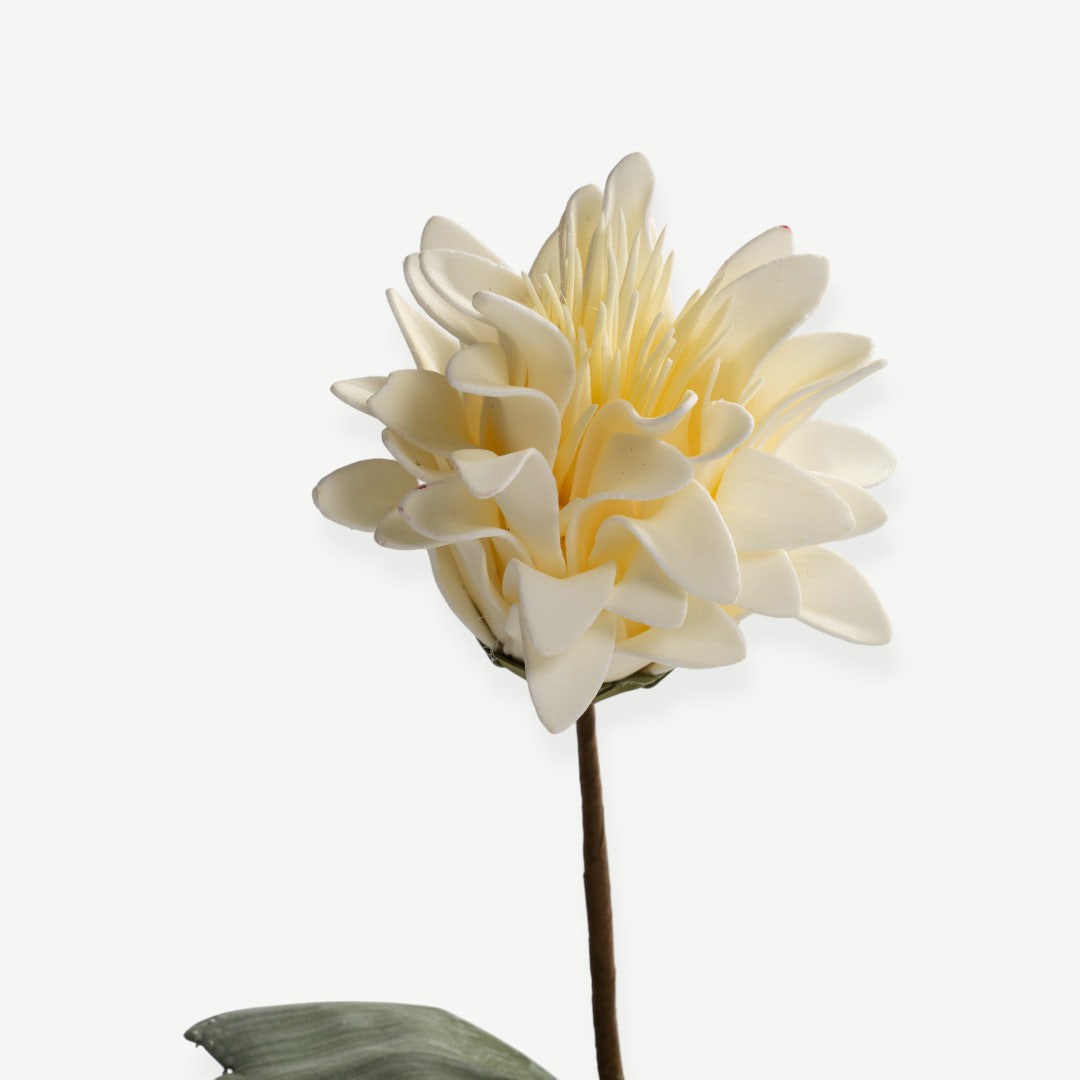Dahlia Flower Stem - Cream