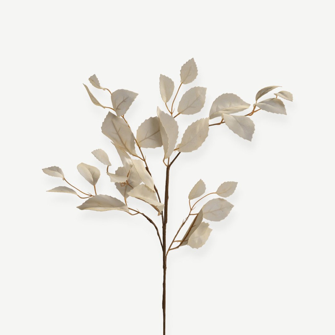 Eucalyptus Leaves - Cream