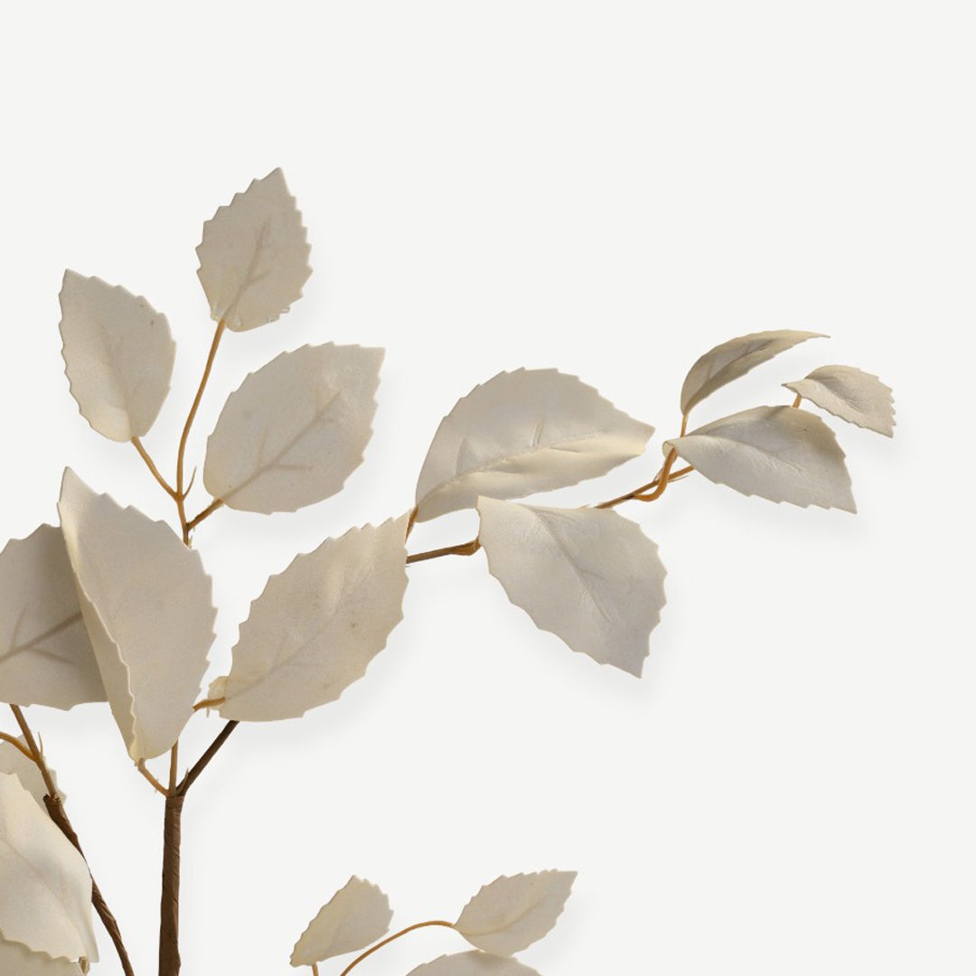 Eucalyptus Leaves - Cream