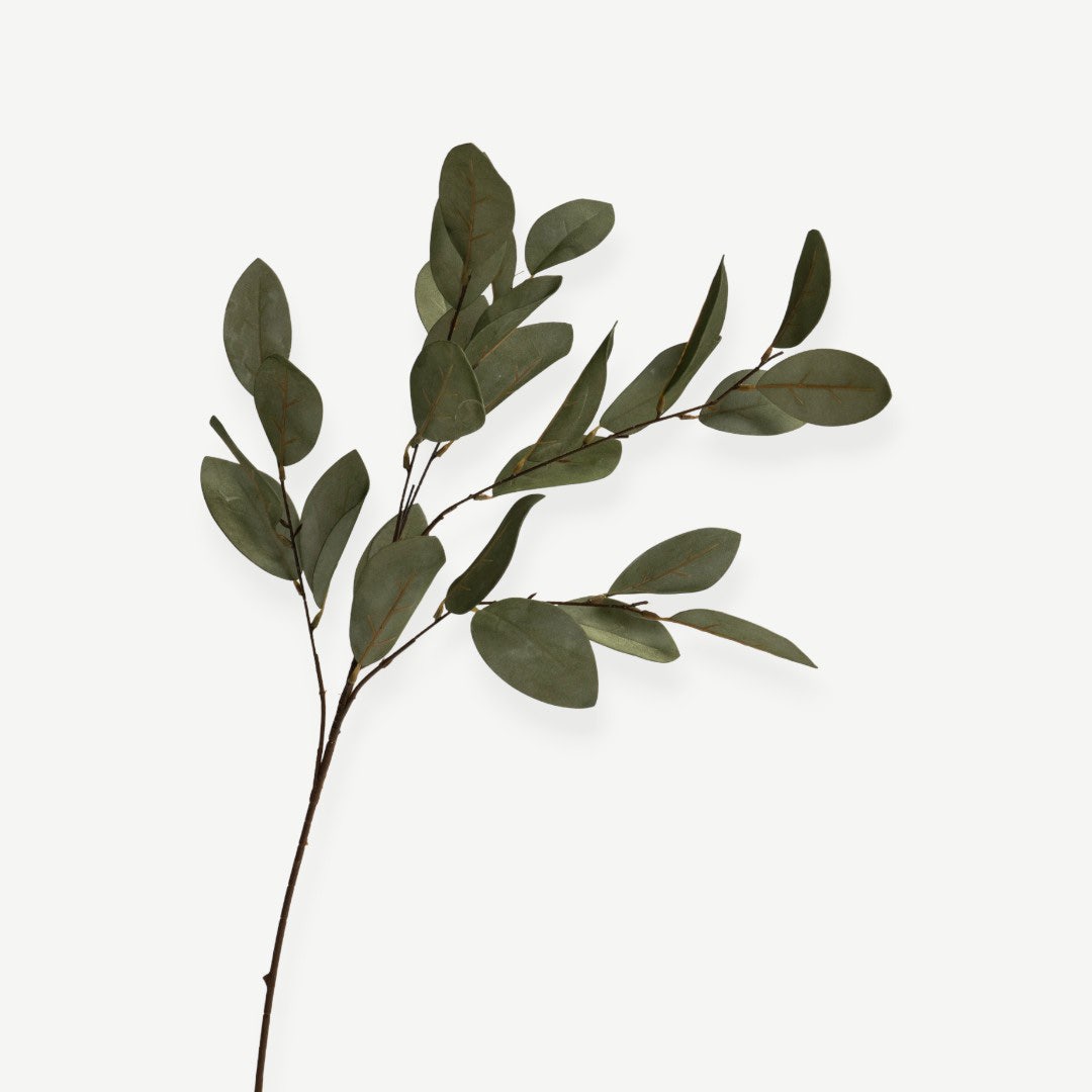 Eucalyptus Leaves - Green
