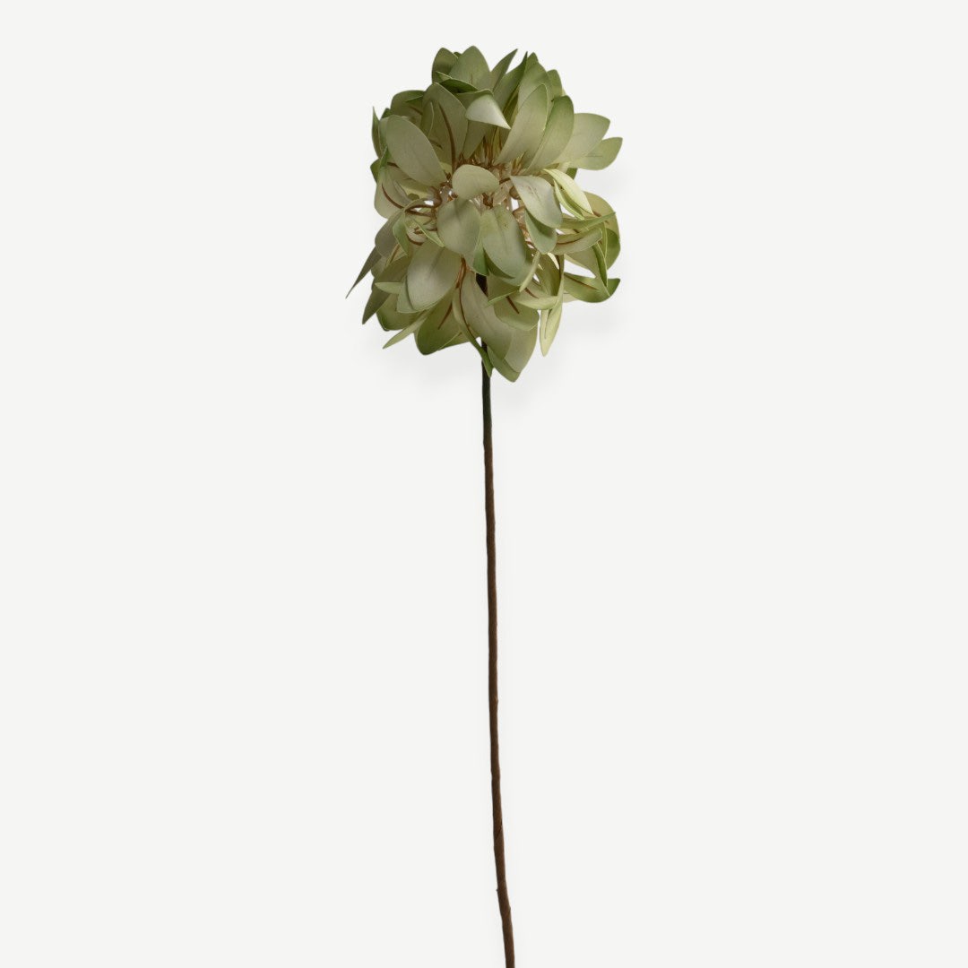 Cornflower Stem - Green