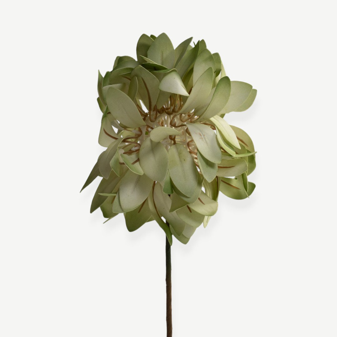 Cornflower Stem - Green