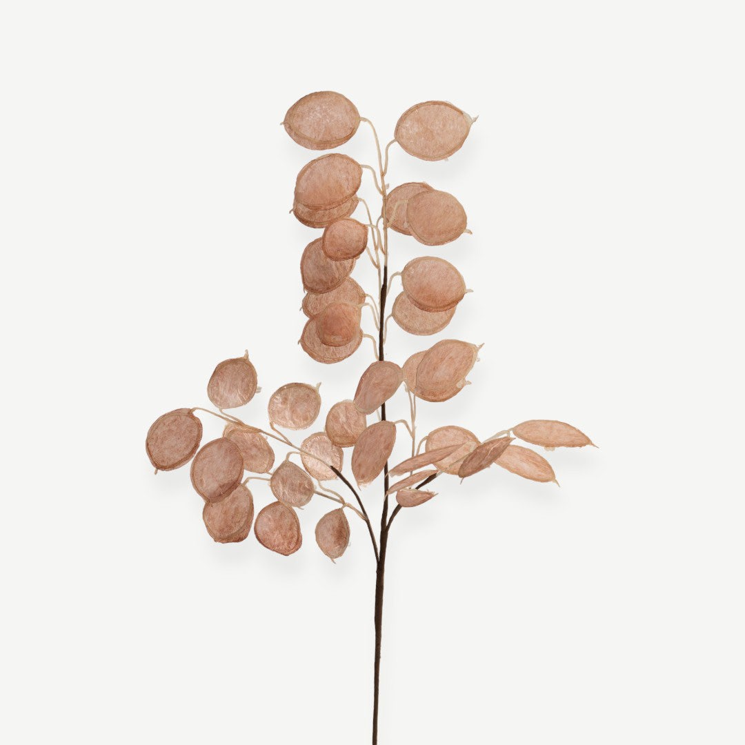 Eucalyptus Leaves - Pink