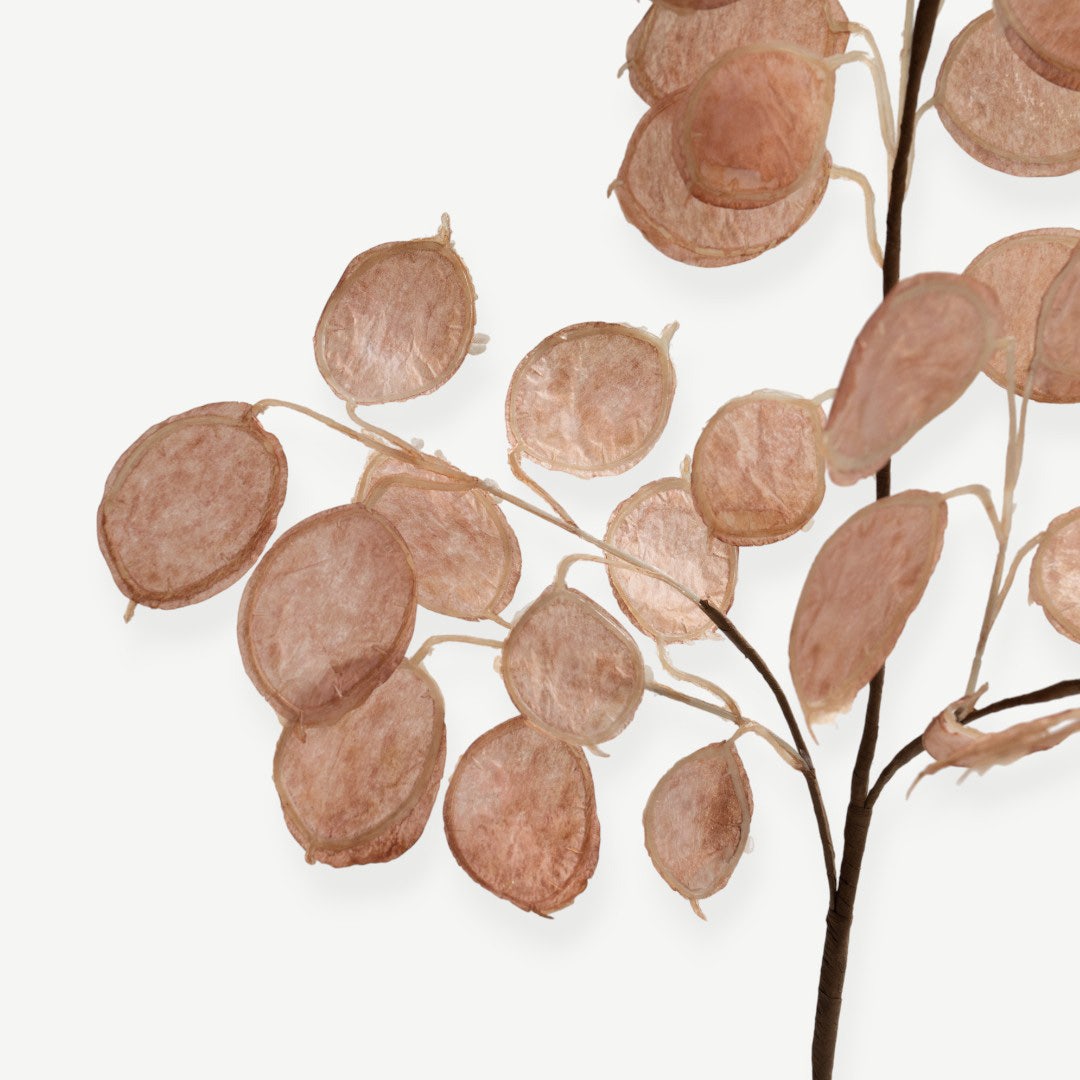 Eucalyptus Leaves - Pink