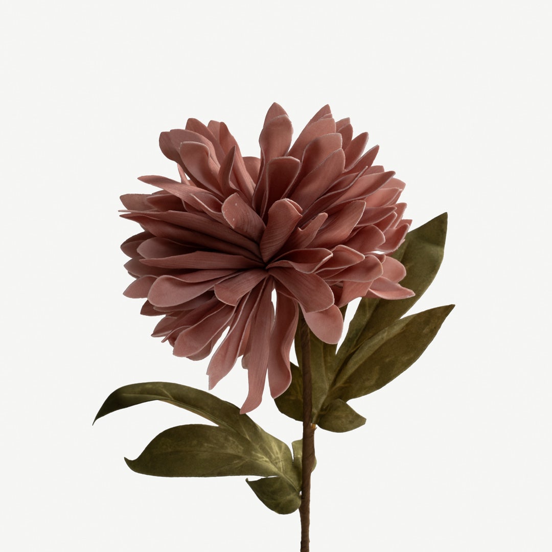 Chrysanthemum Flower Stem - Pink