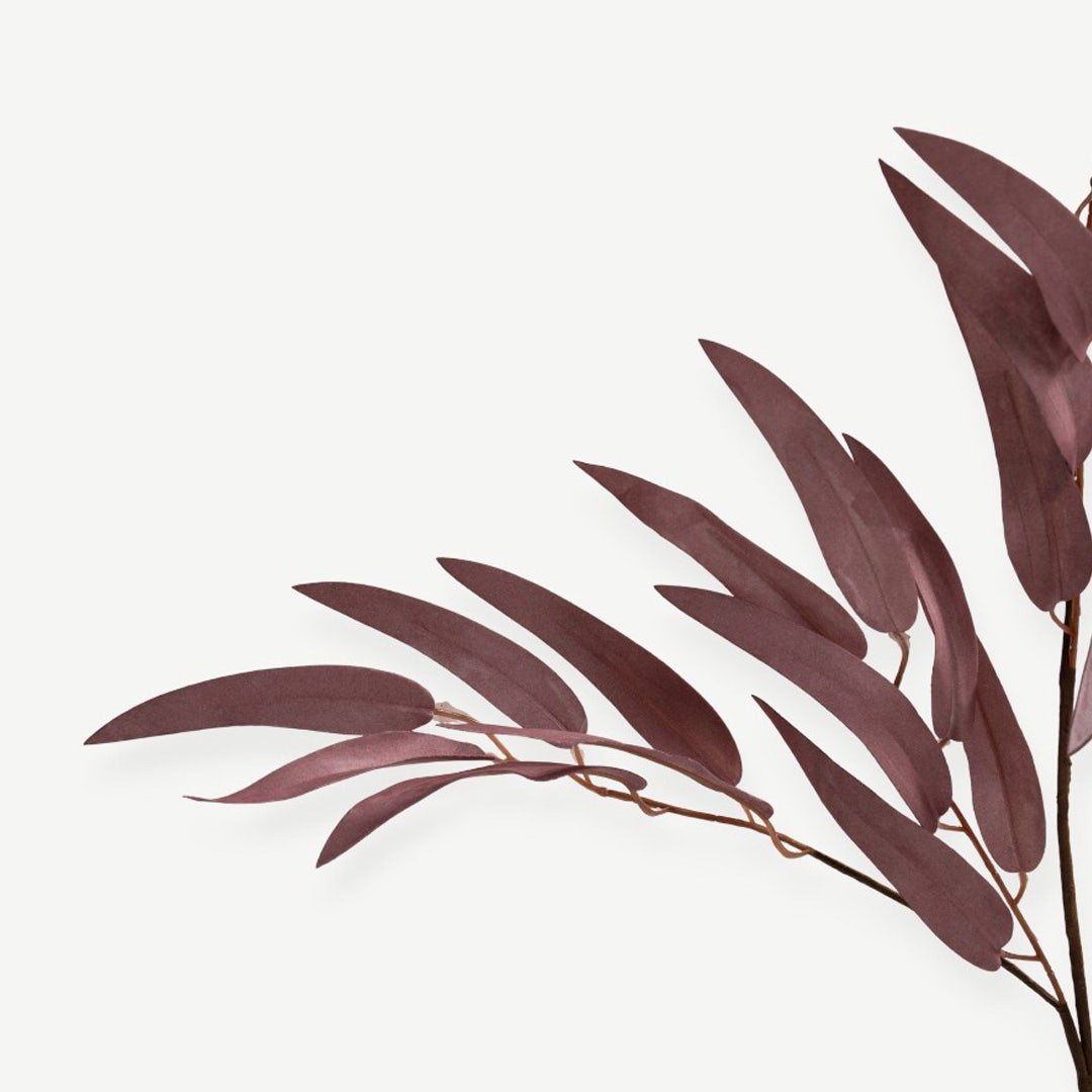 Eucalyptus Leaves - Pink