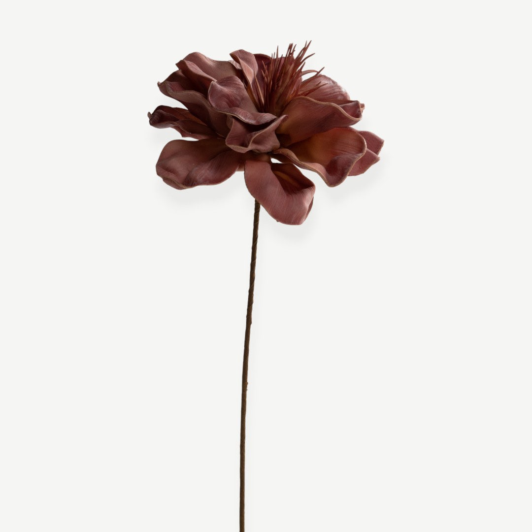 Canna Flower Stem - Pink