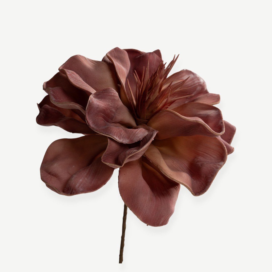 Canna Flower Stem - Pink