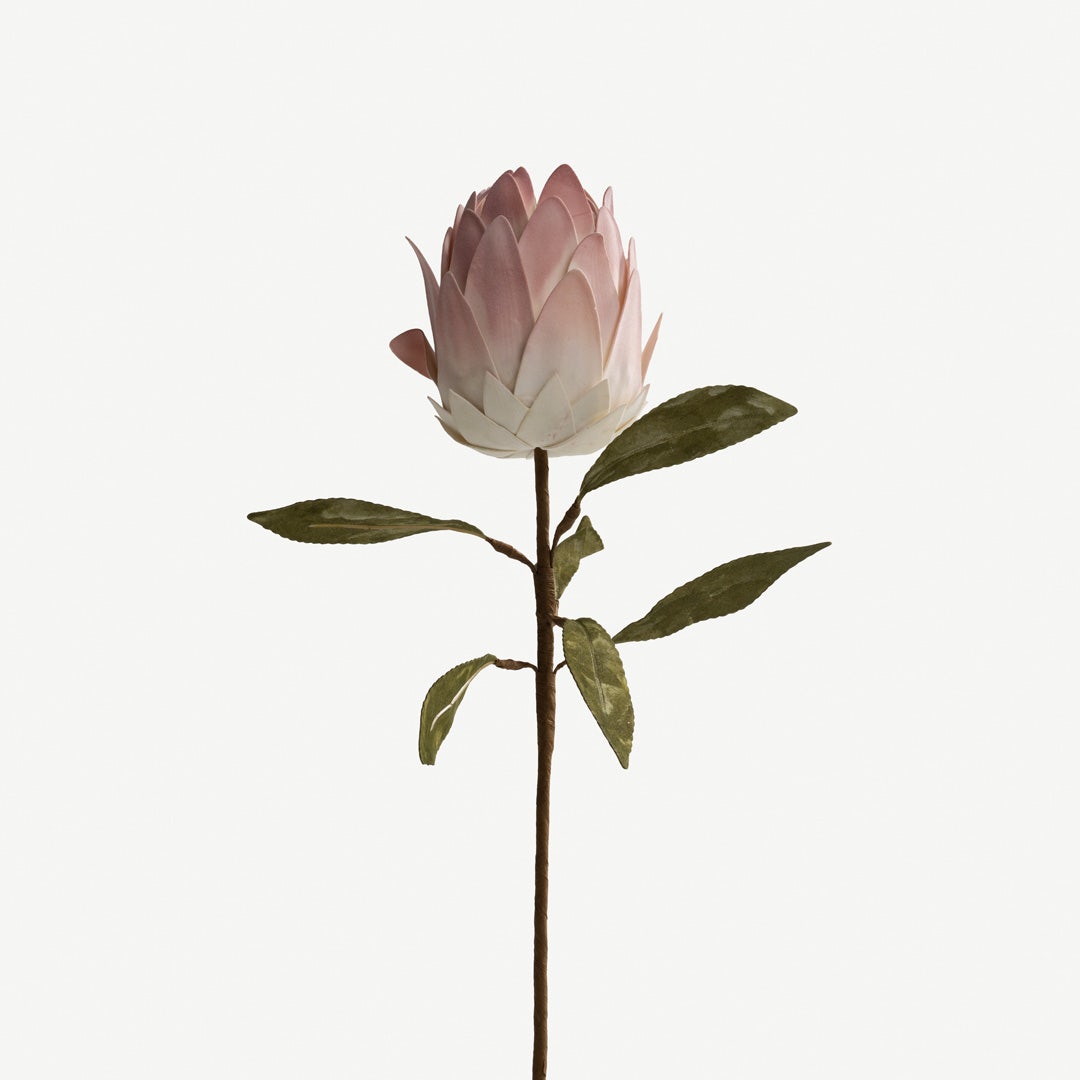 Protea Stem - Pink