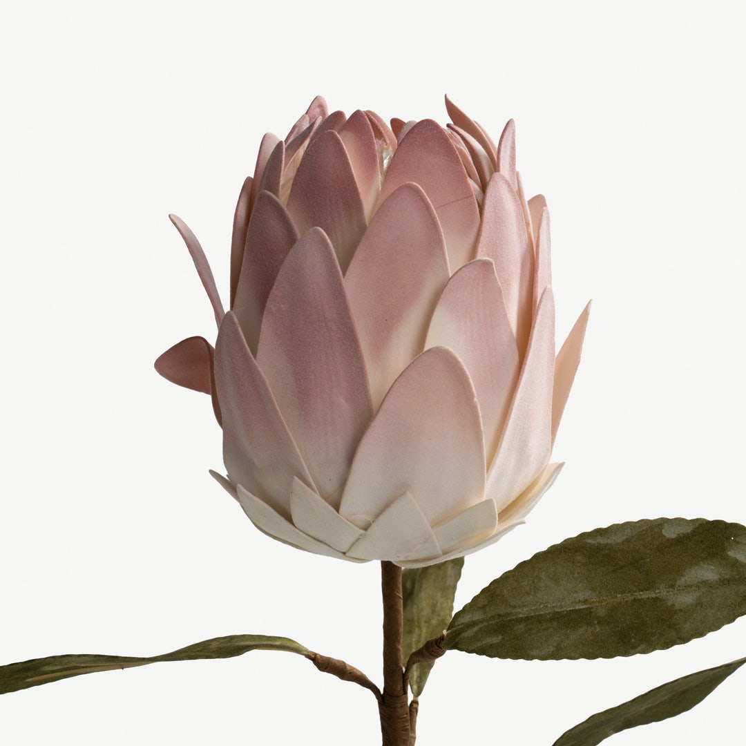 Protea Stem - Pink