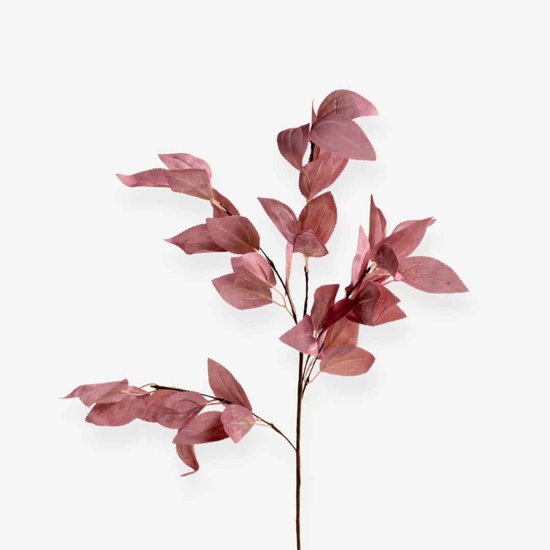 Eucalyptus Leaves - Pink