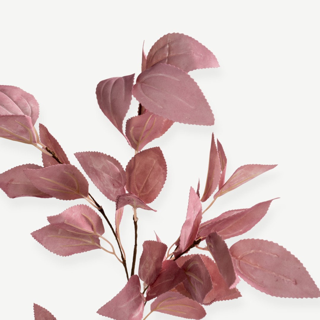 Eucalyptus Leaves - Pink